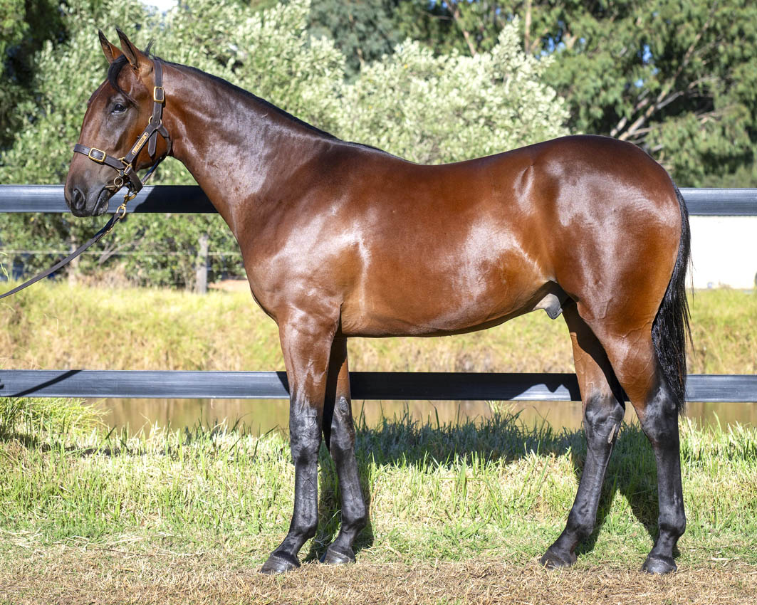 Who wants to be a millionaire?