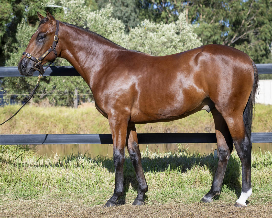 Class of 2025 look outstanding