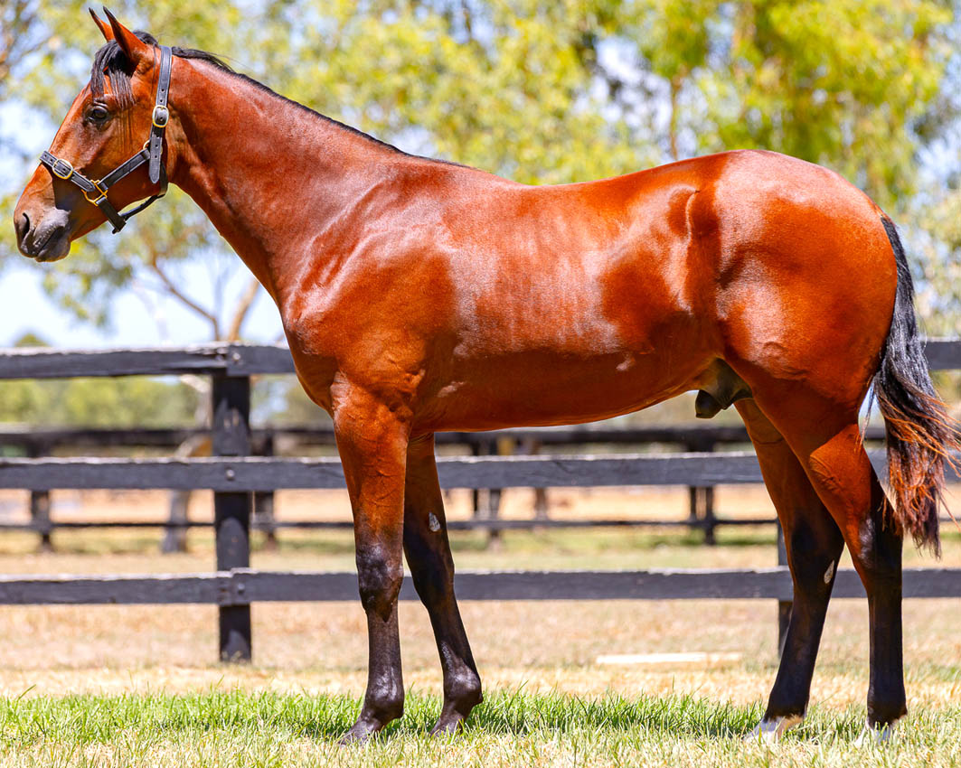 Well-planned operation