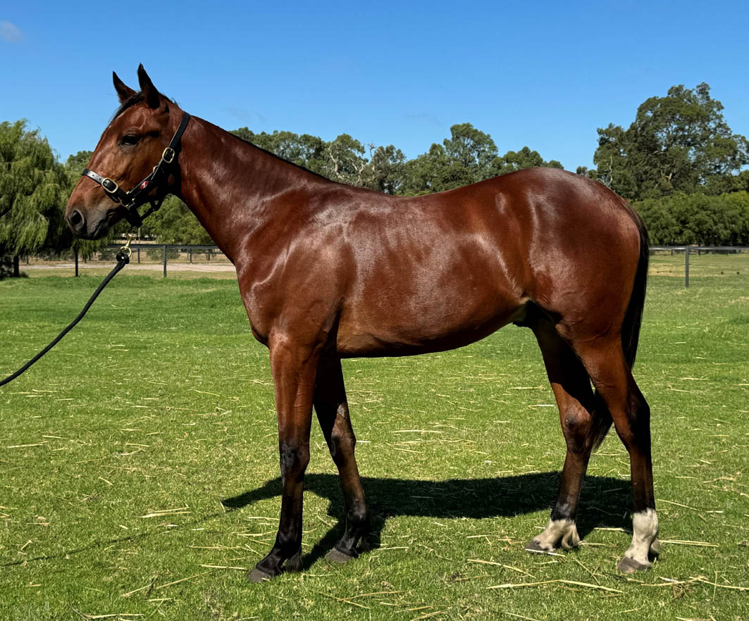 Another draft of gems from Karnup