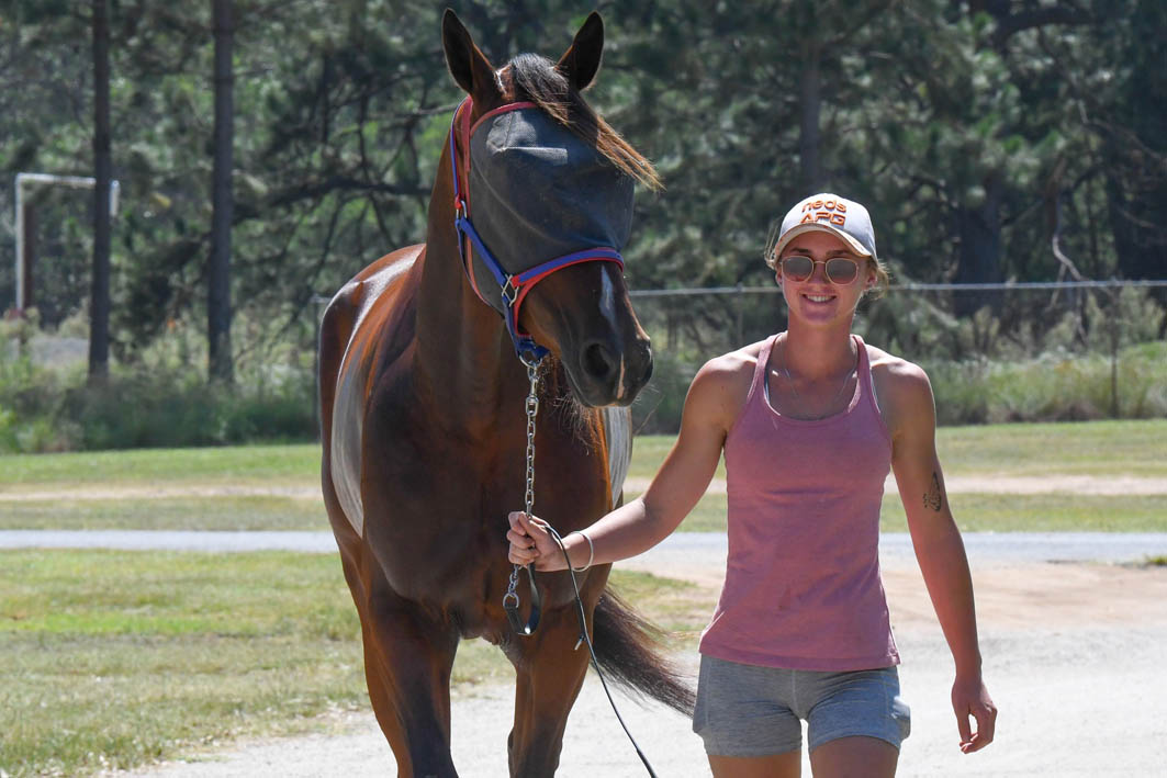 She drives my horse or she doesn't drive!