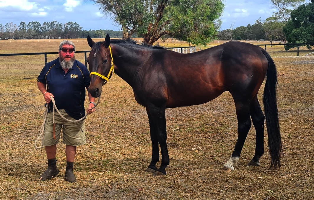Woodcock hoping for a breeding renaissance