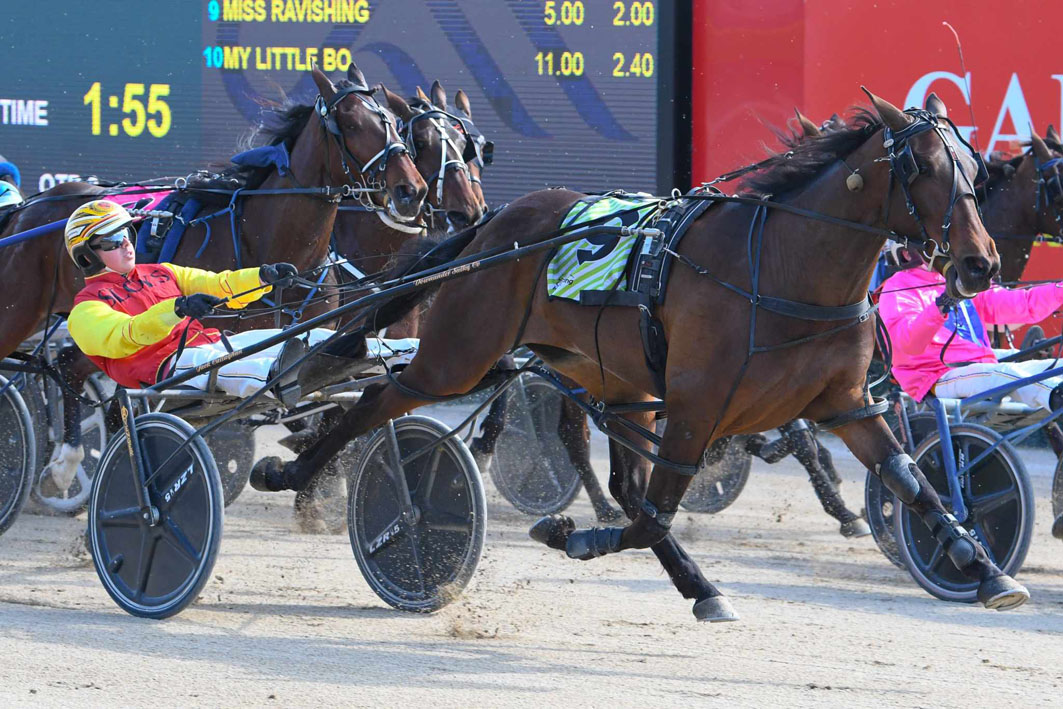 Younger sibling chasing spotlight