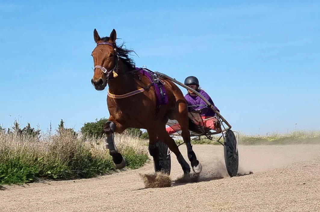 Trainers, drivers select their Hygain Highlights of 2025