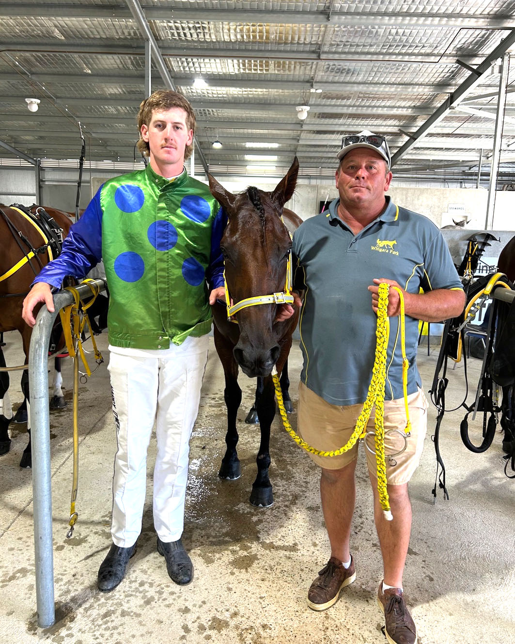 All local affair in Pacing Cup