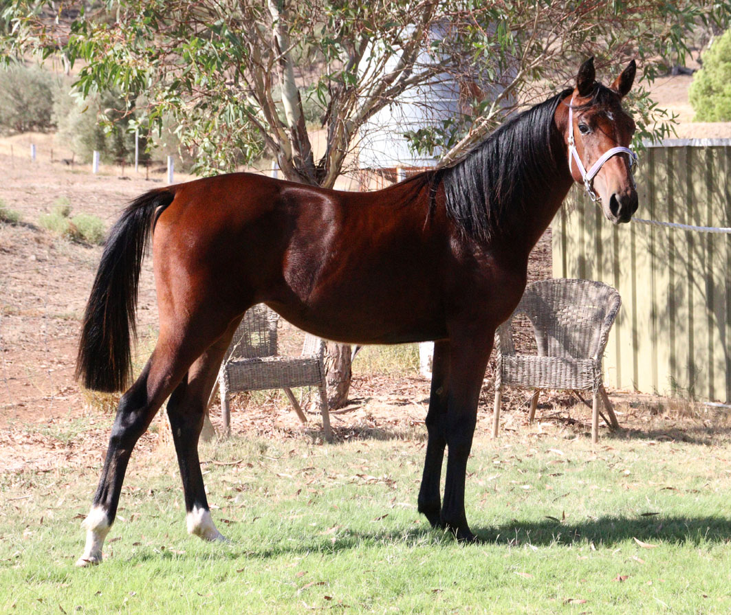 Strong optimism ahead of Sale