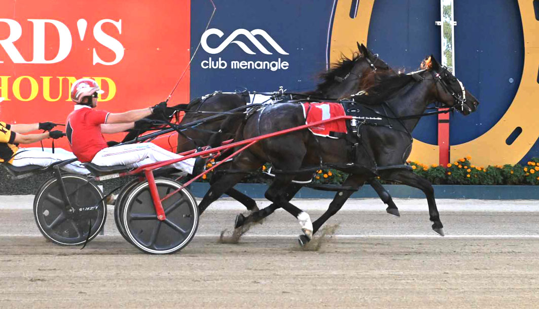 Drawn to extend perfect record