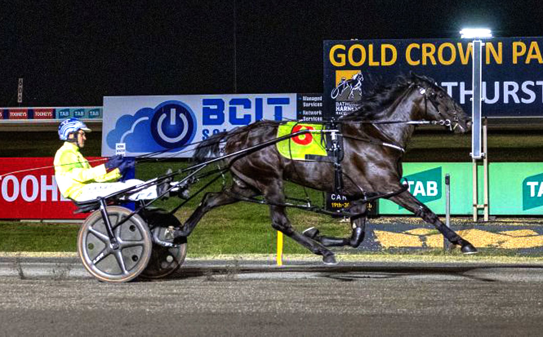 Promising filly rounds out perfect cameo