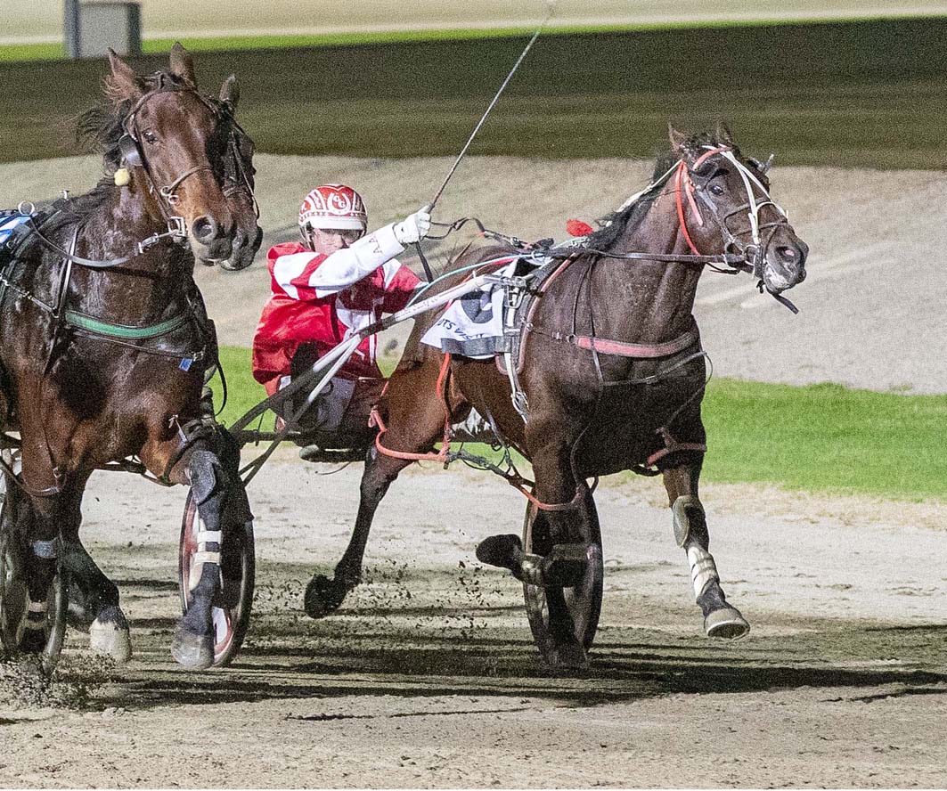 Age no obstacle for 'greybeard' pacer