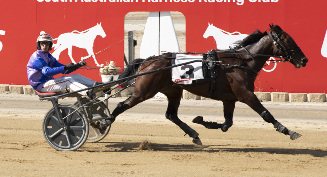 I'm having a crack and that's all I can do!