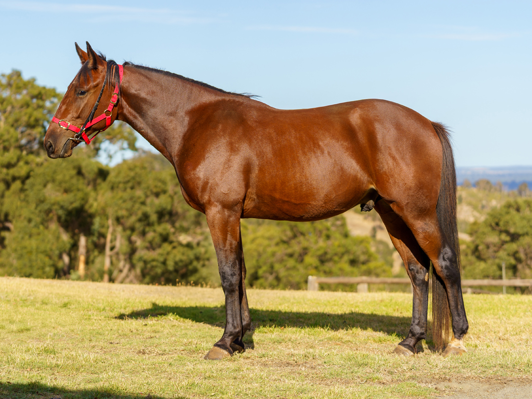 Bound to attract plenty of attention