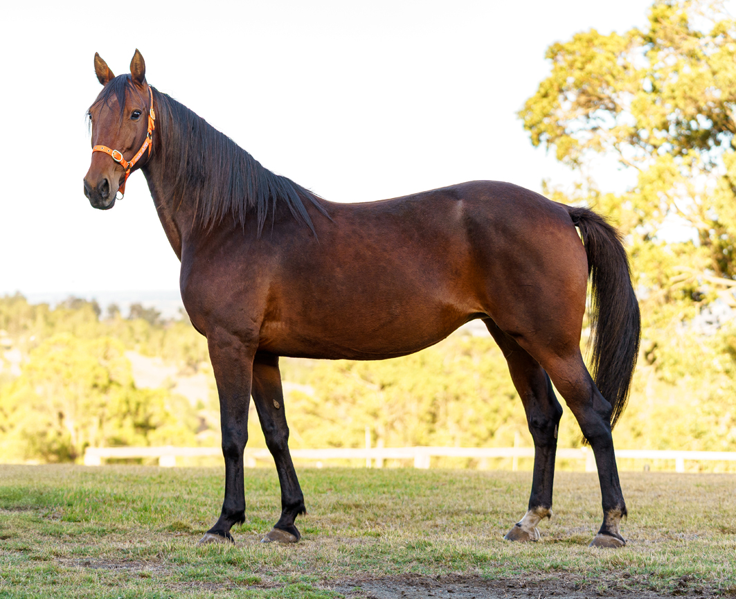 Increase your chances of success