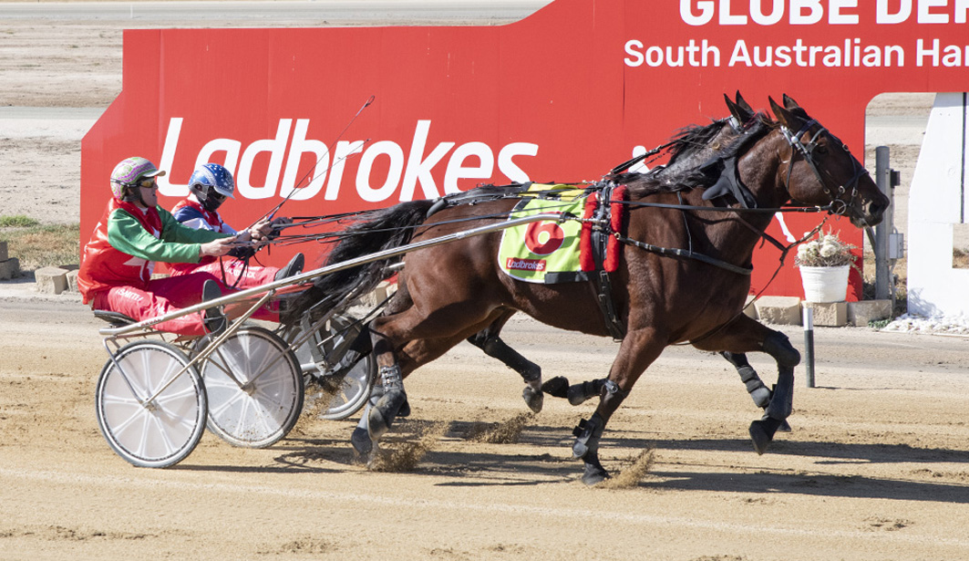 84-year-old trainer's patience rewarded