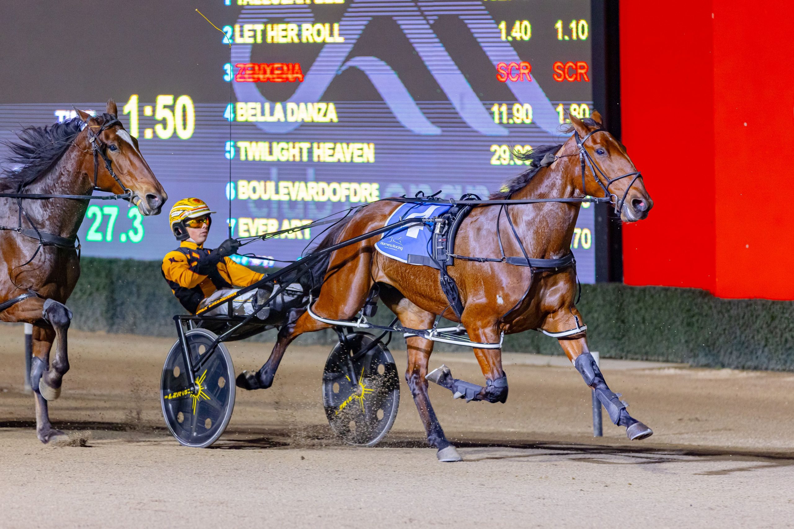 She's all class - but this mare has a mind of her own