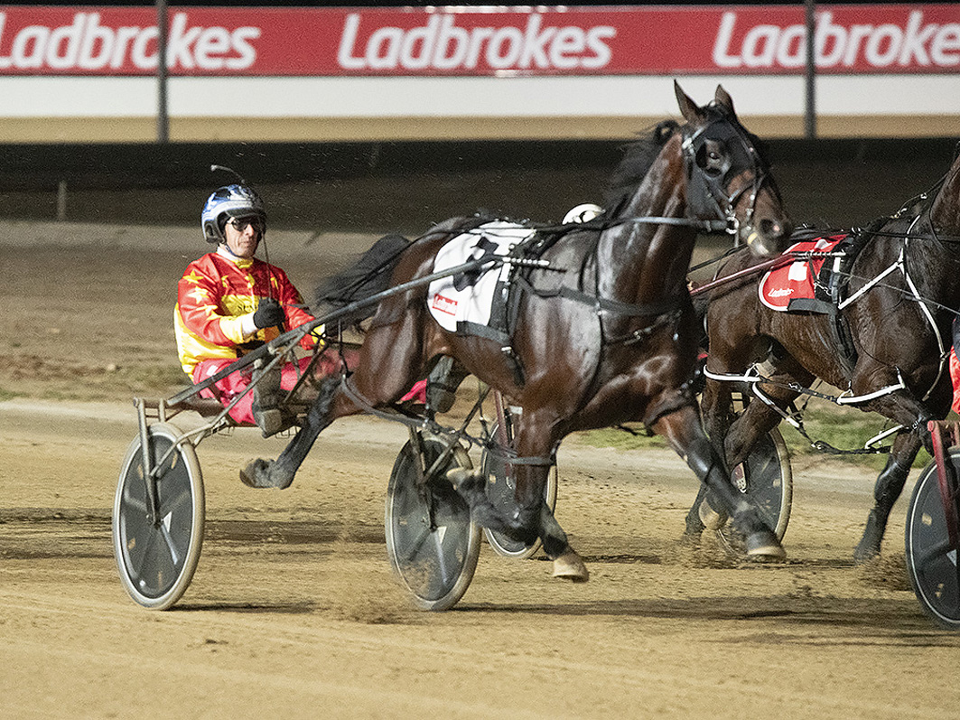 Plenty of cheer to share around