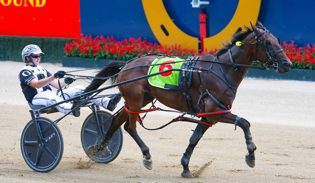 Magician to weave some magic