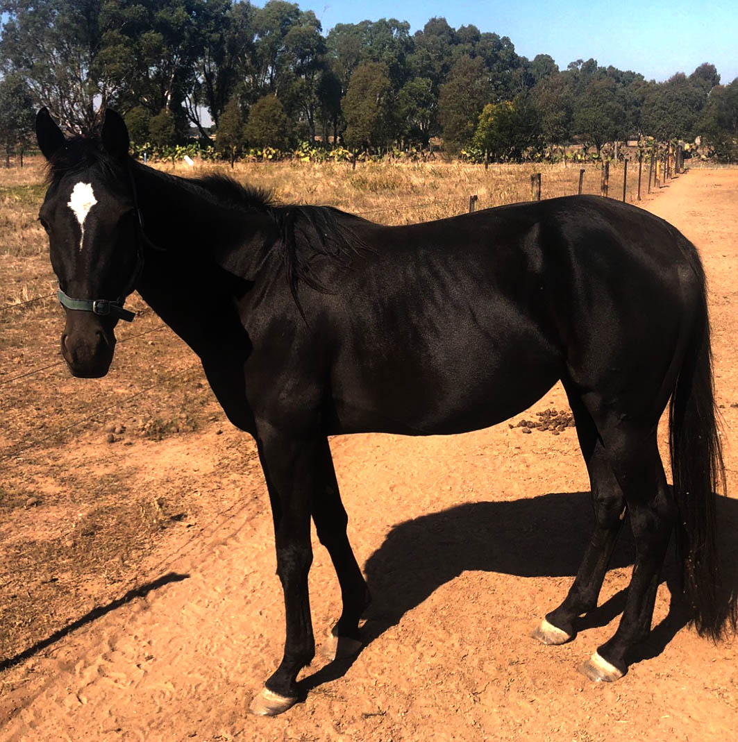 Bound to attract plenty of attention