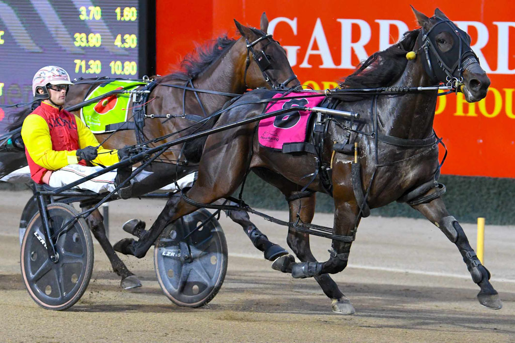 Winter reprieve awaits promising youngster