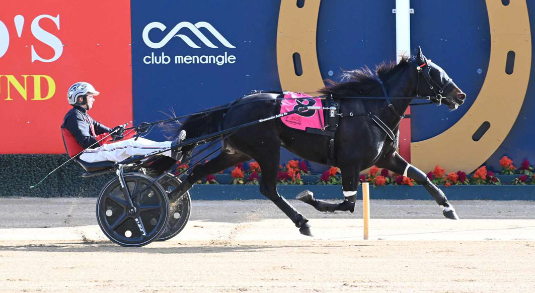 Undefeated youngster to extend perfect record