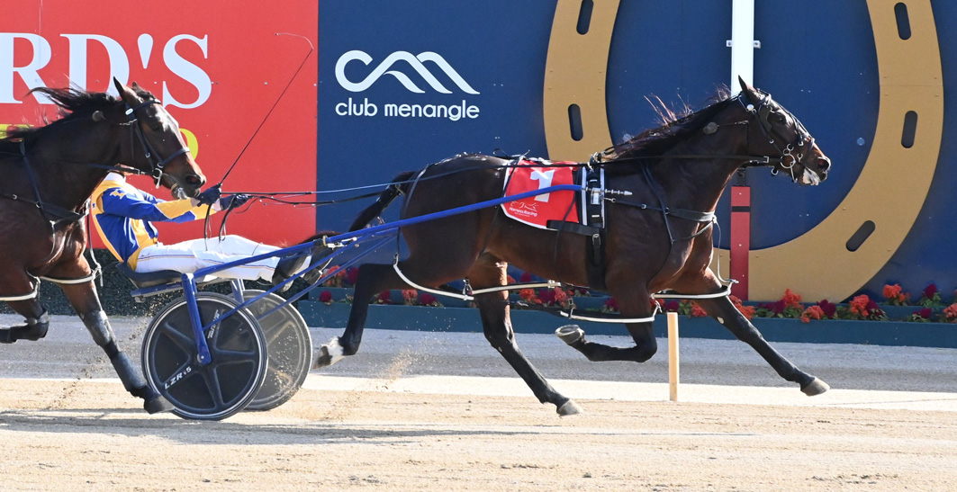 Perfect end to first campaign