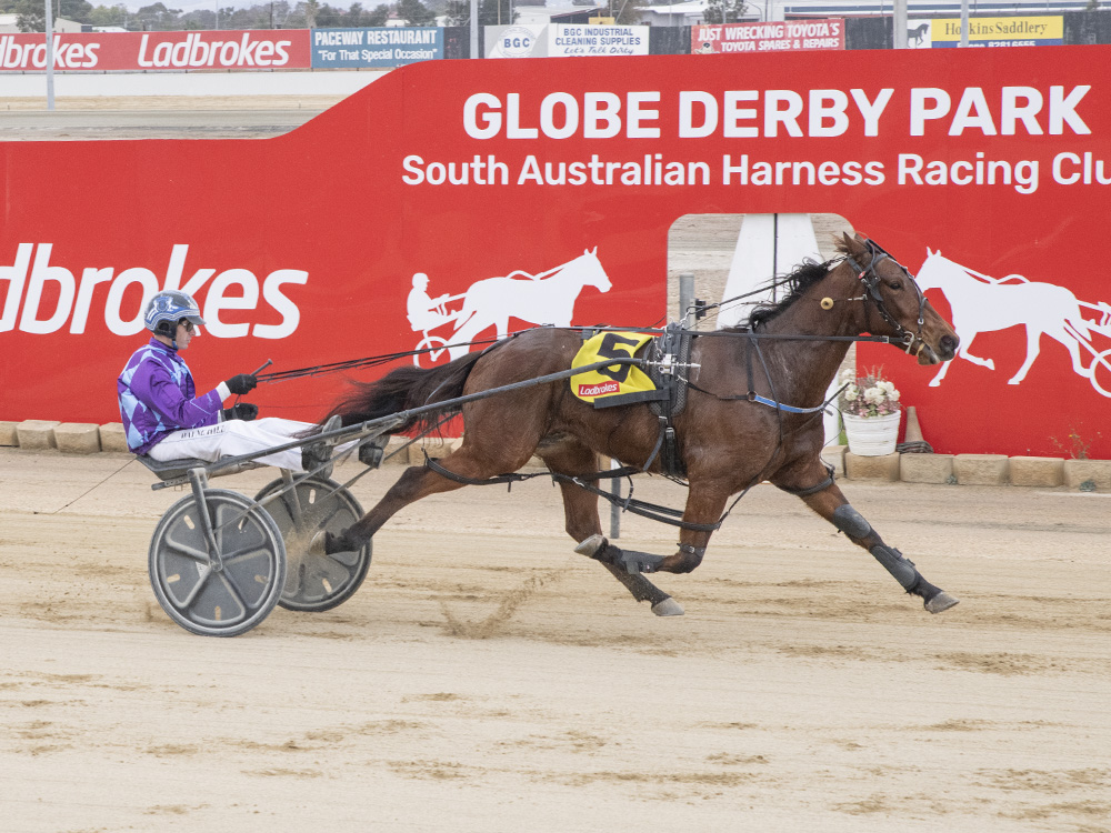 Promising youngster's perfect return