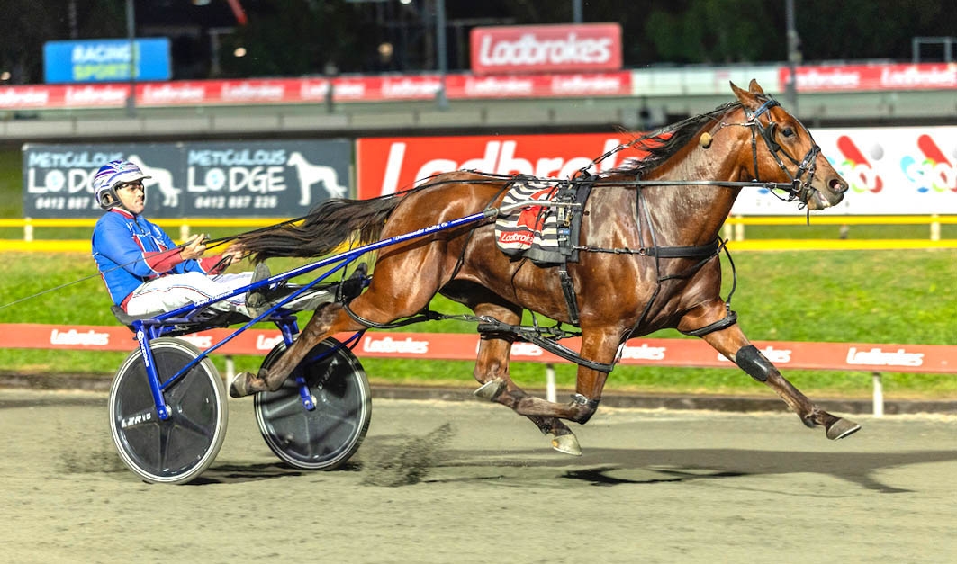 Major stables to face French resistance