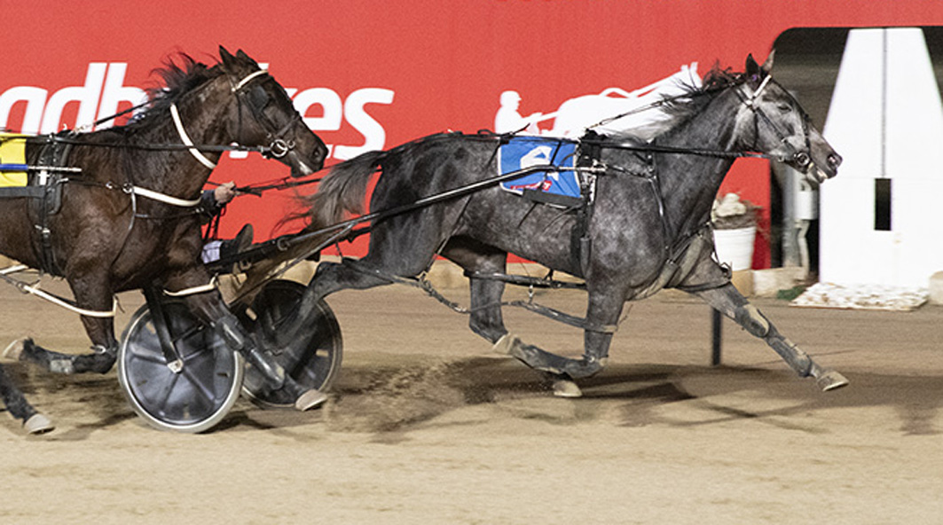 Prominent horseman extracts revenge