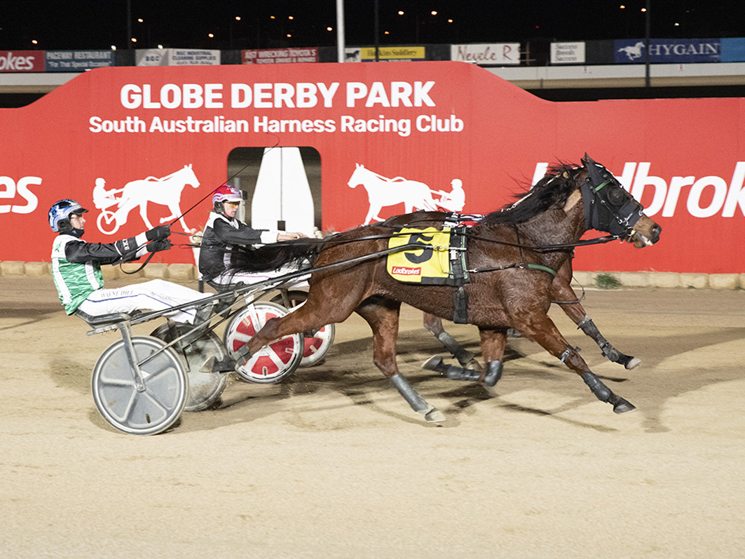 In-form trotter on the market