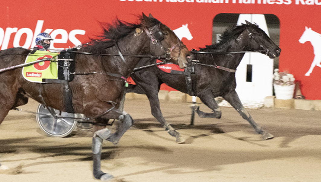 Win halts interstate campaign