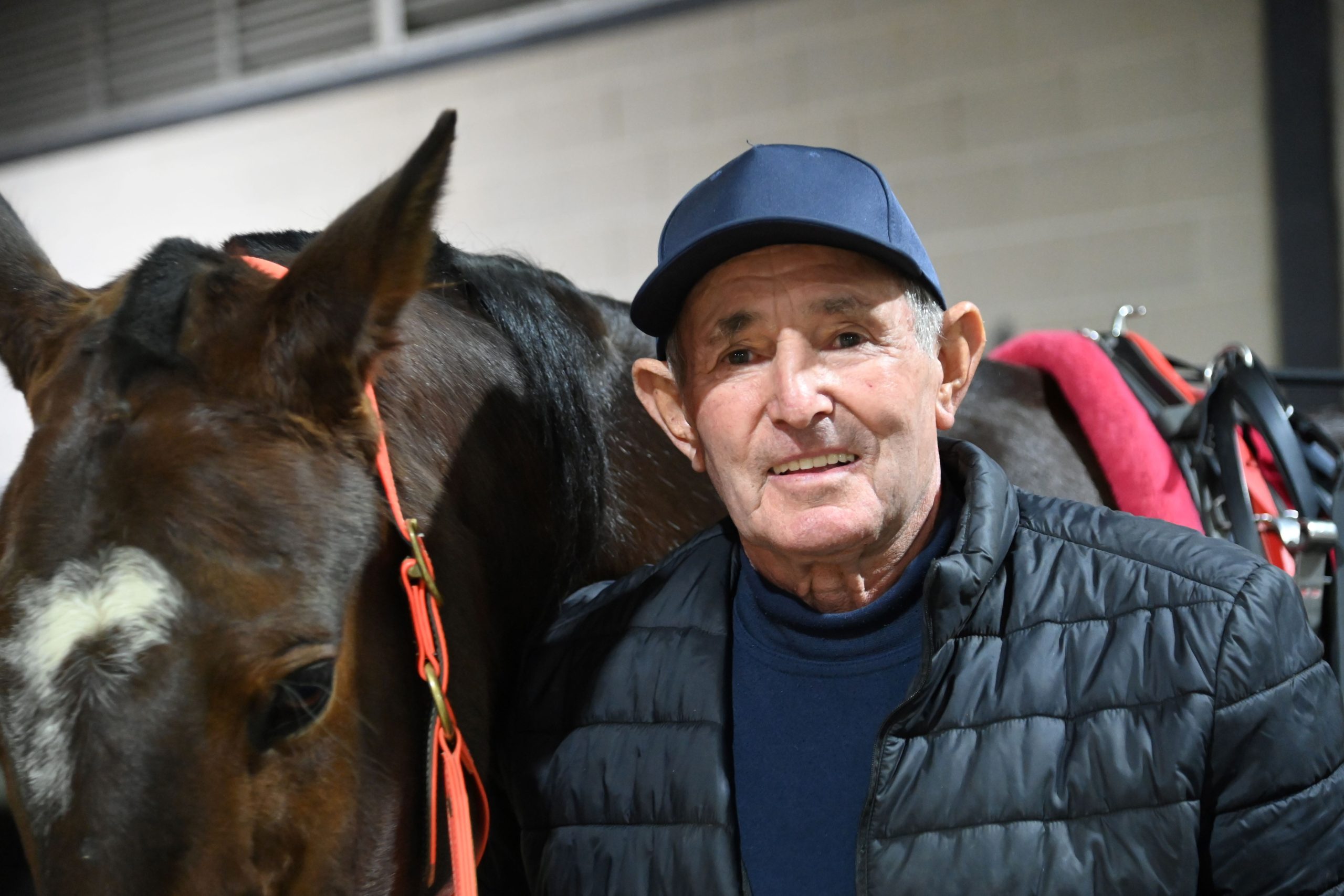 Problem horses never a headache for this veteran Grenfell horseman