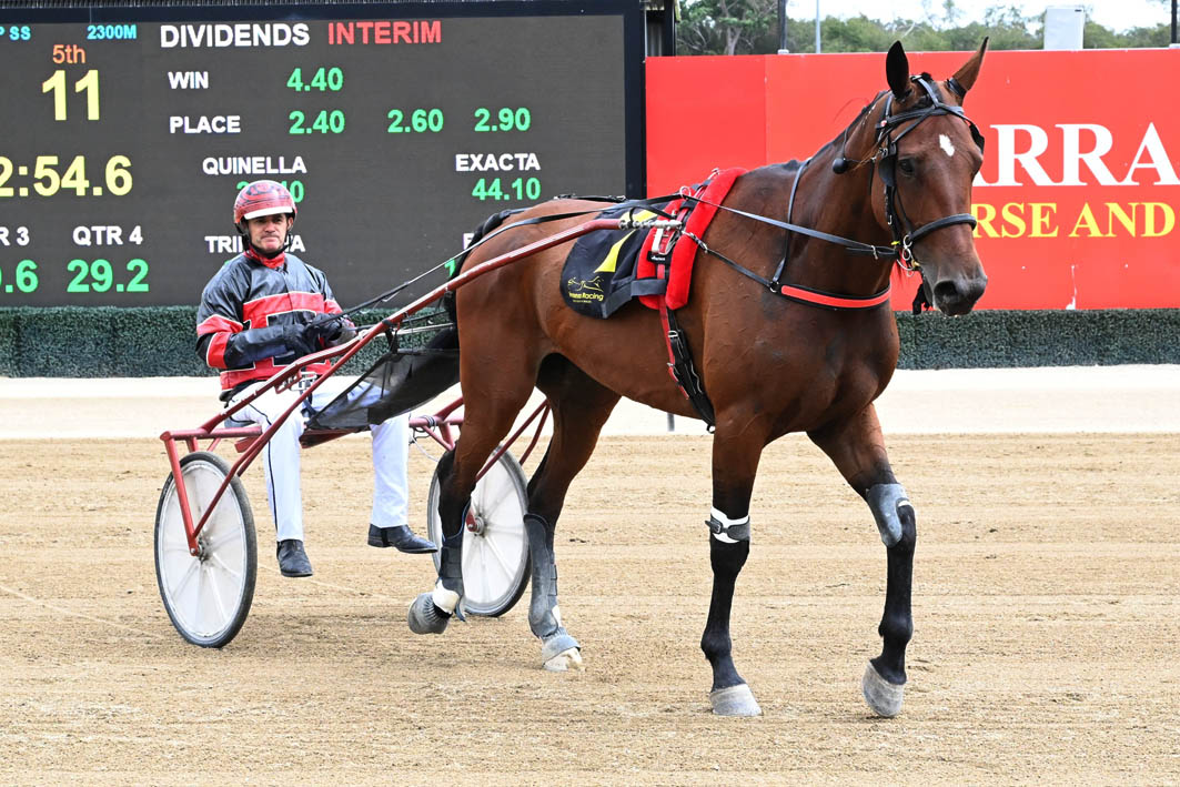 One of the most improved trotters in the state