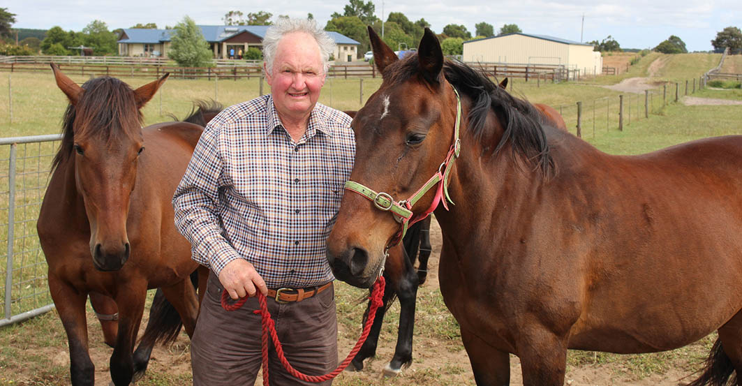 Four decades of breeding in Mixed Sale