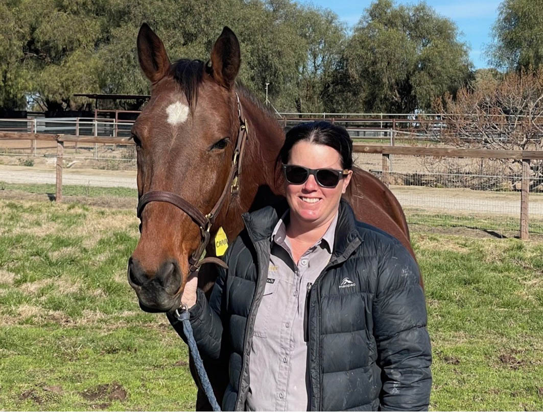 Chance to secure Always B Miki foal