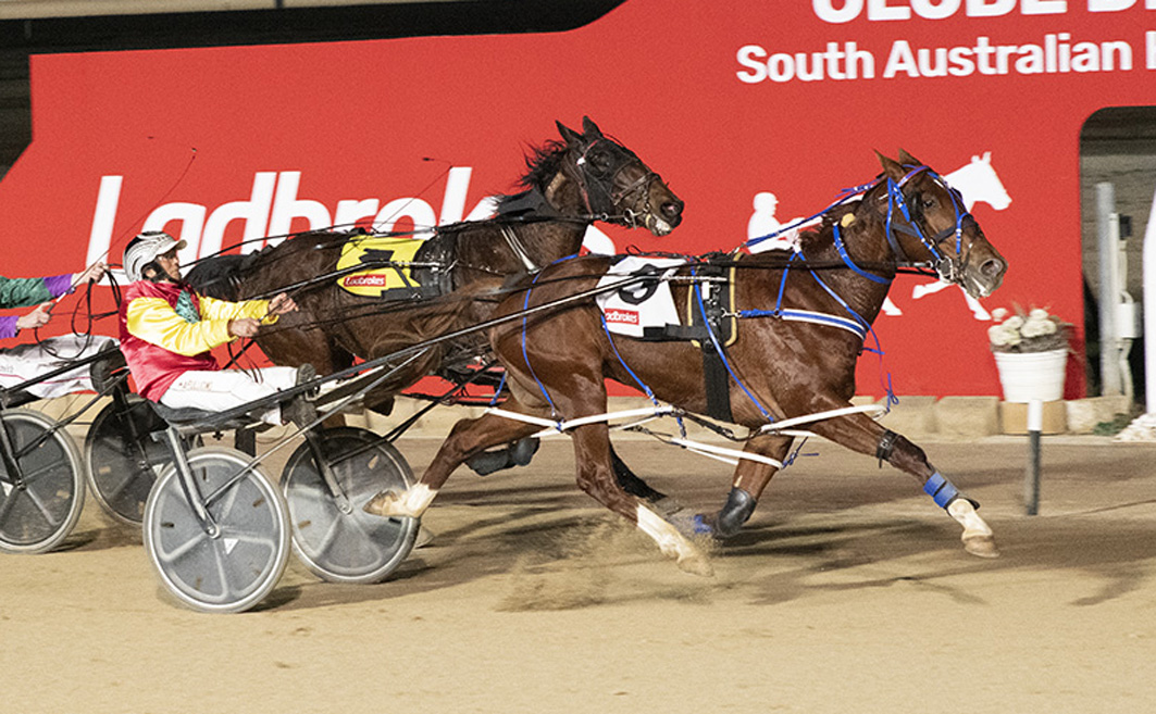 Interstate trip on the cards