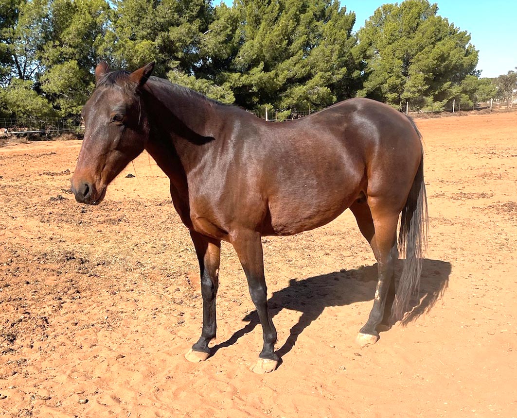 Ooh La La – she’s Very Chic!