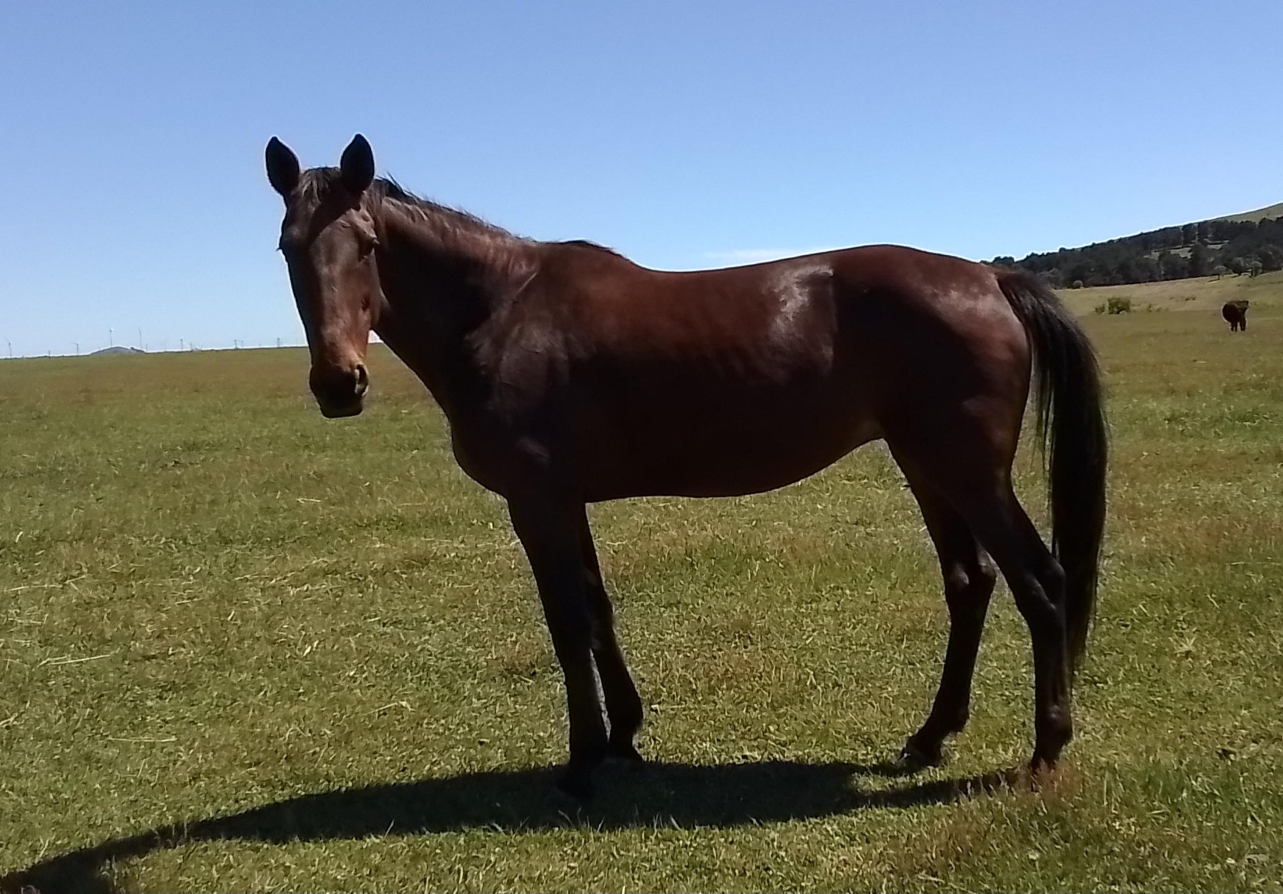 Eight decades of success