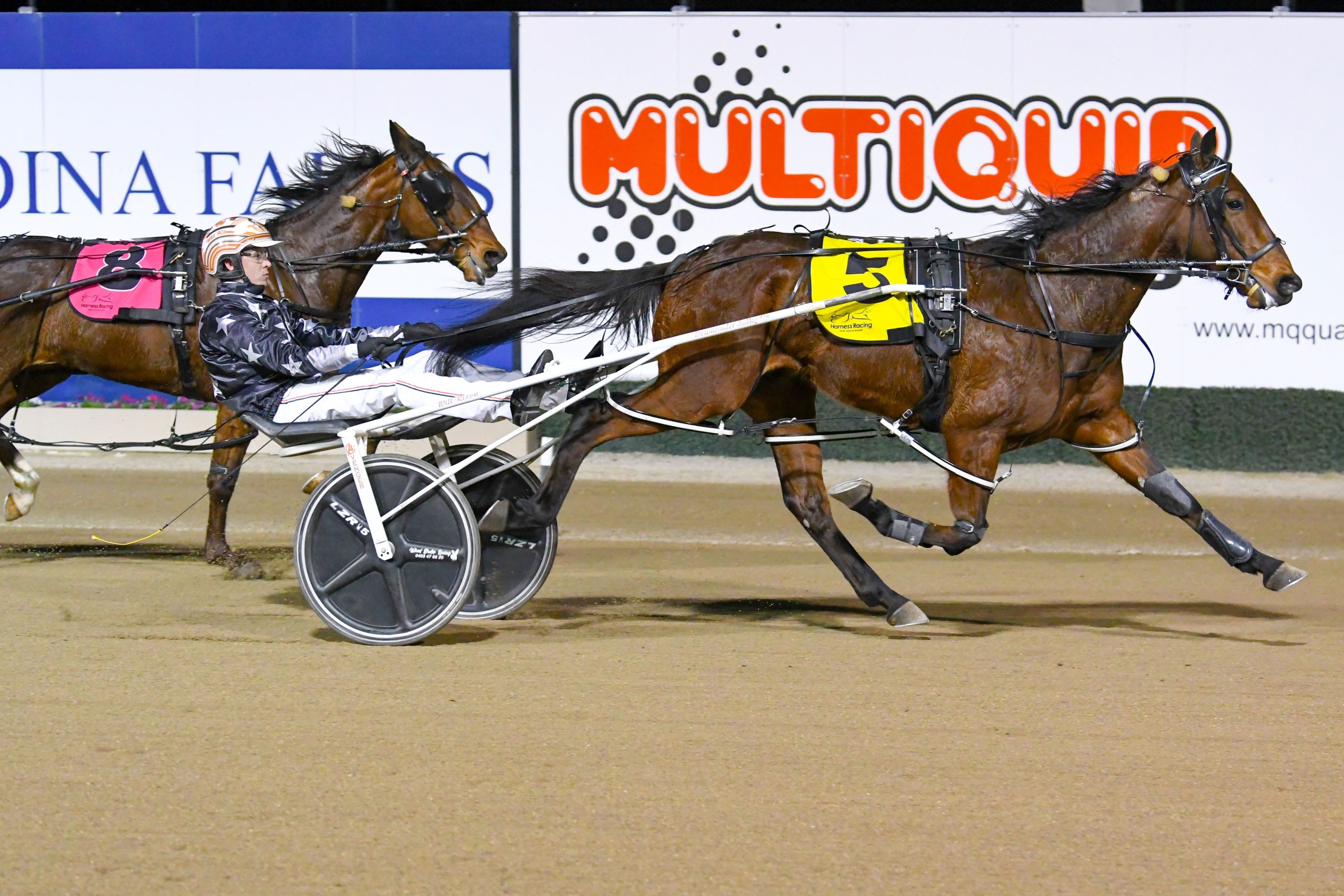 Thrilled with The Eureka barrier draw