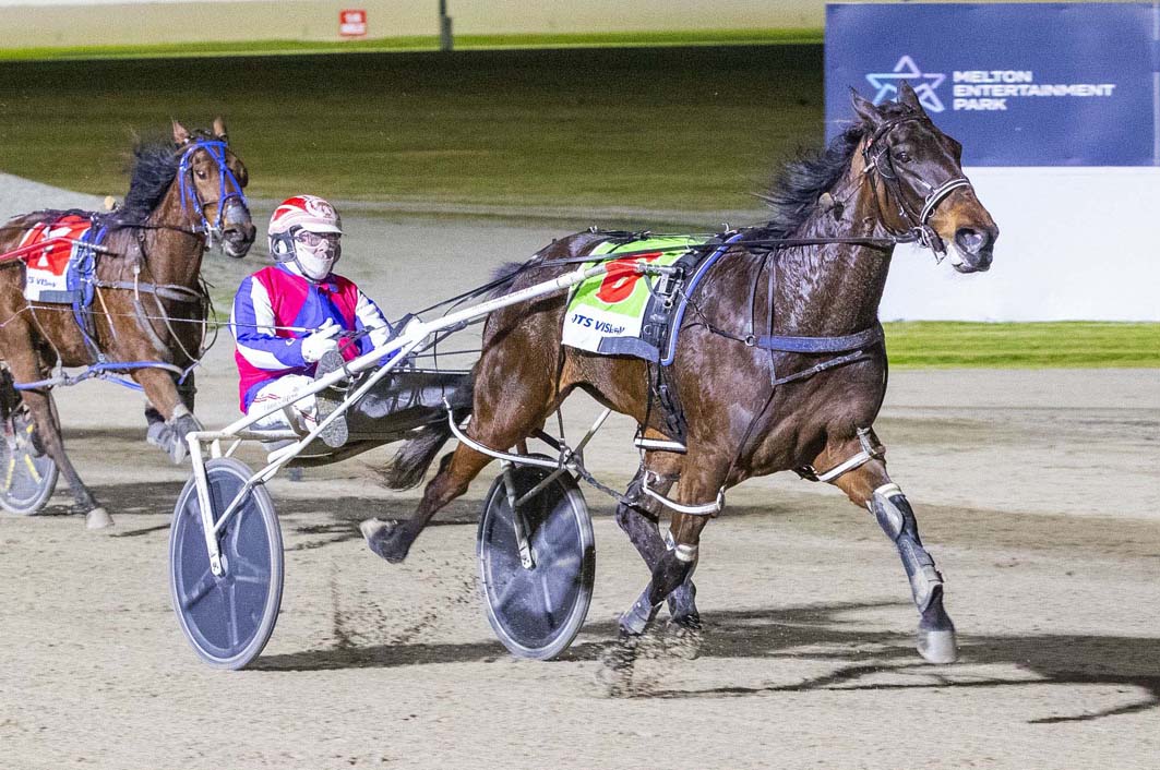 Well-bred youngster's perfect debut