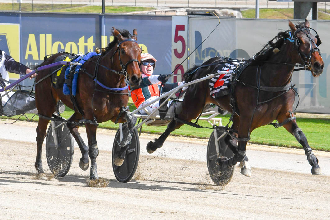 Horror draw puts perfect record at risk