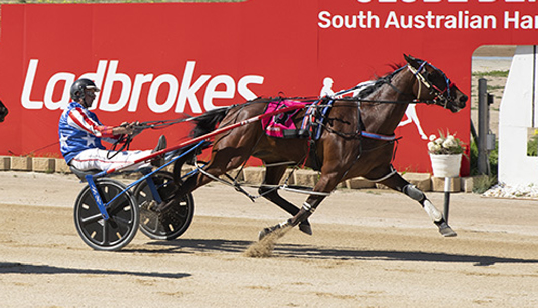 Talented youngster aimed at bigger targets