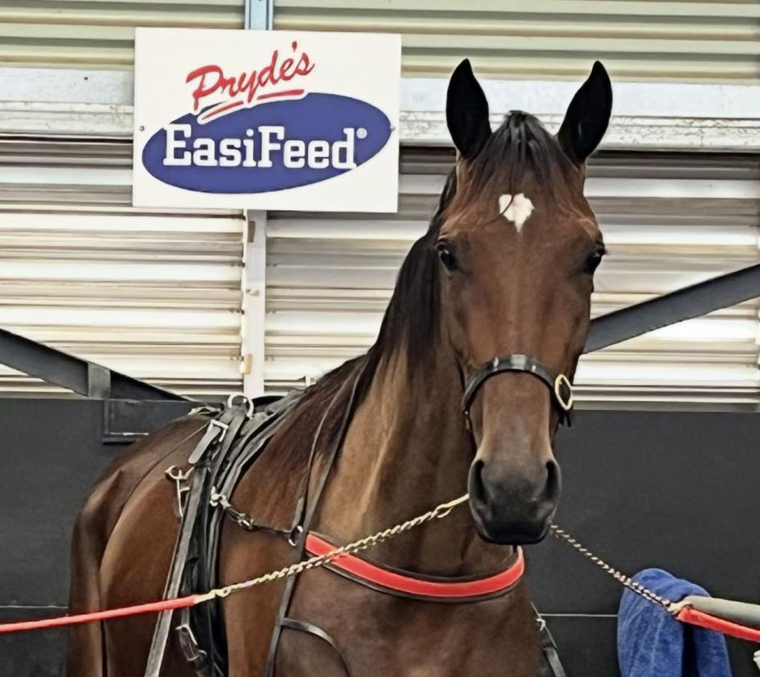 Step up for exciting youngster