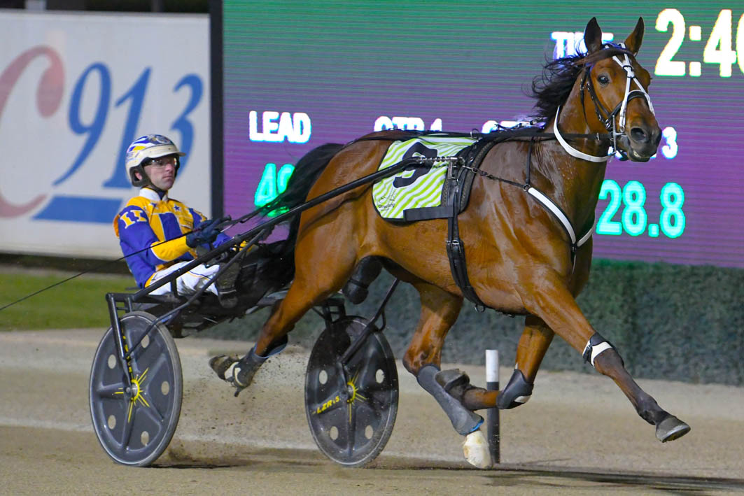 Talented trotter continues rise through the grades