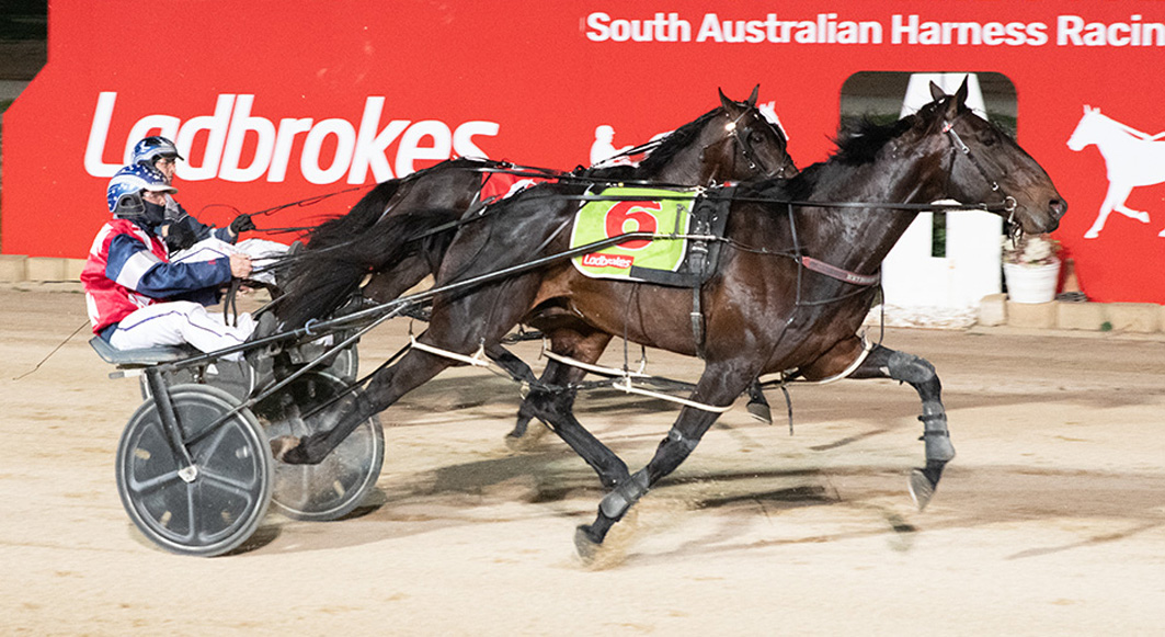 Ready to lead local resistance