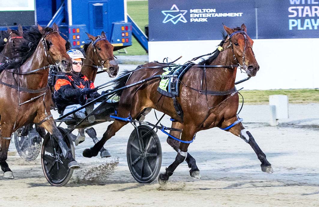 Mares only races increased next season