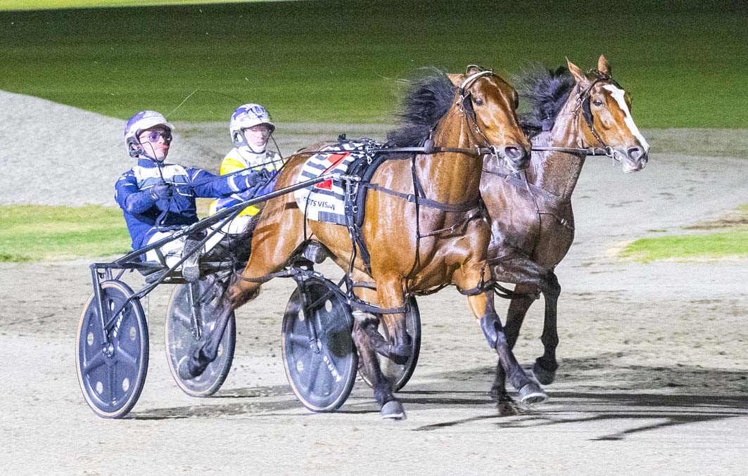 Stable switch pays dividends