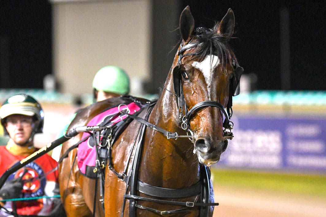 Rising star to chase country riches