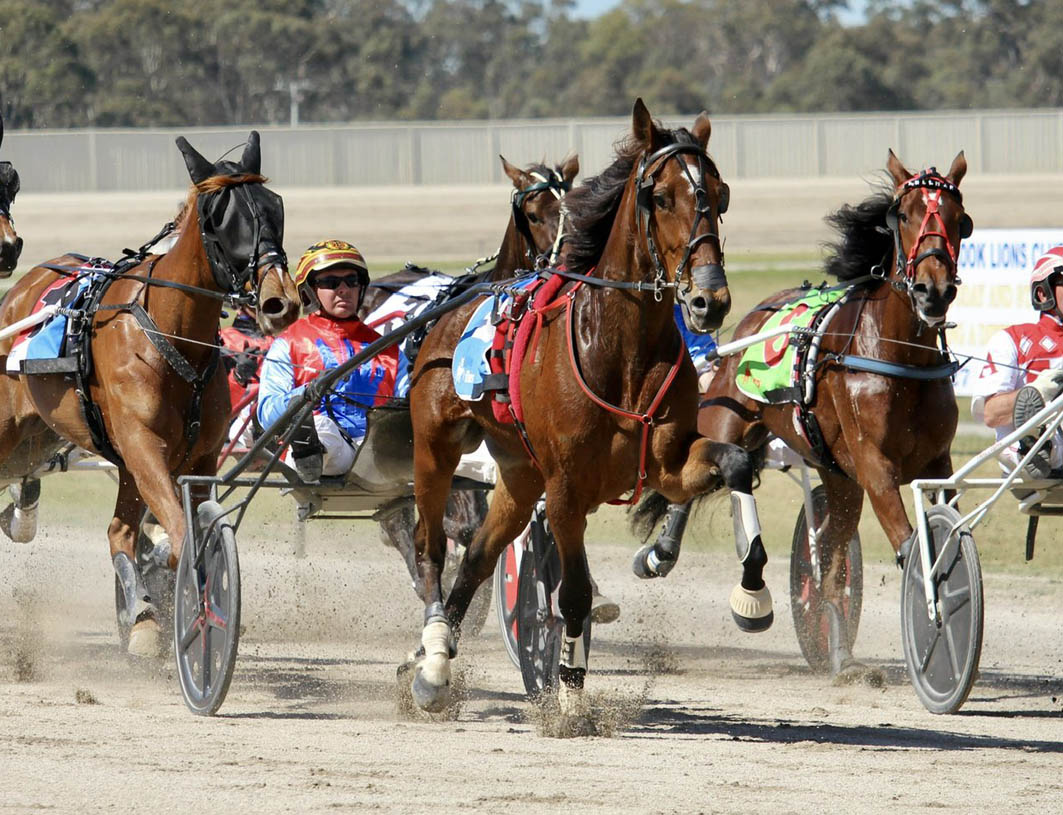 'Miracle' foal chasing Group One glory