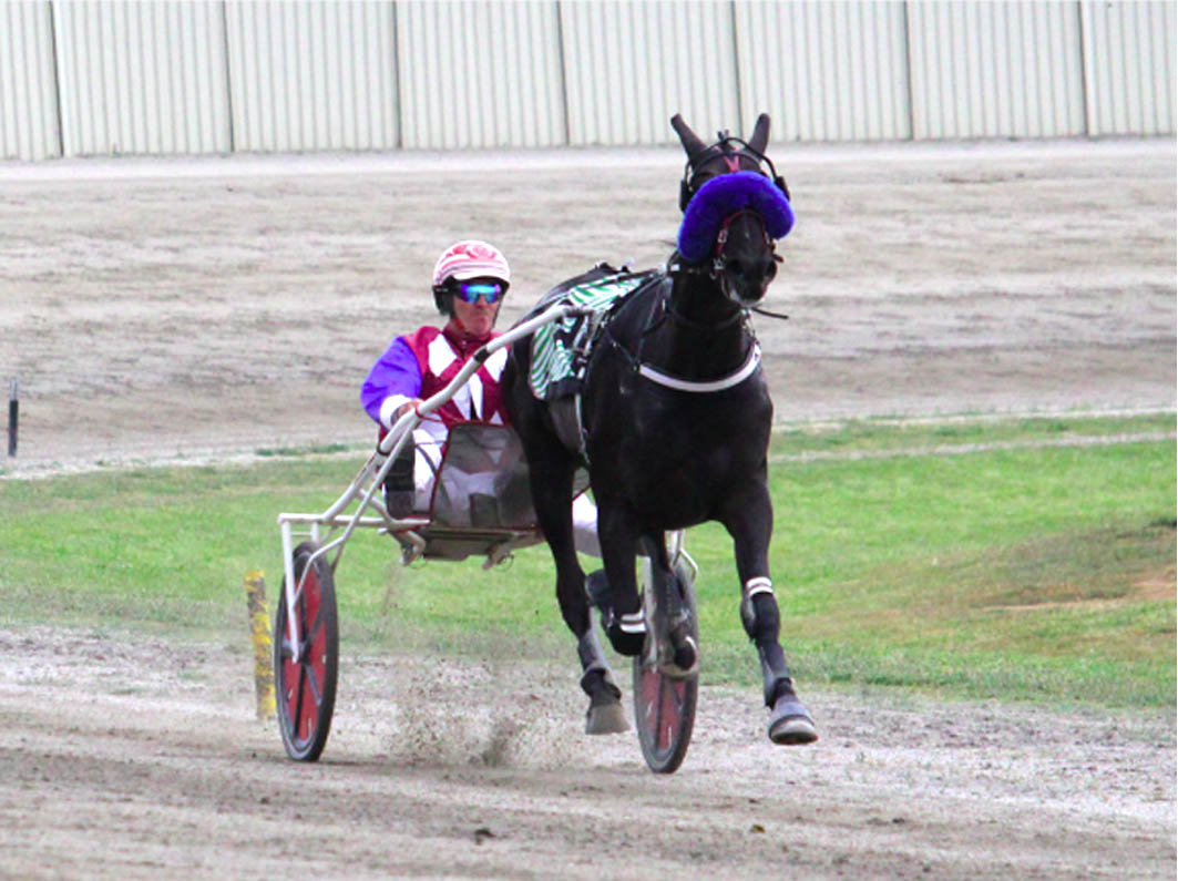 I had no plans of training again!