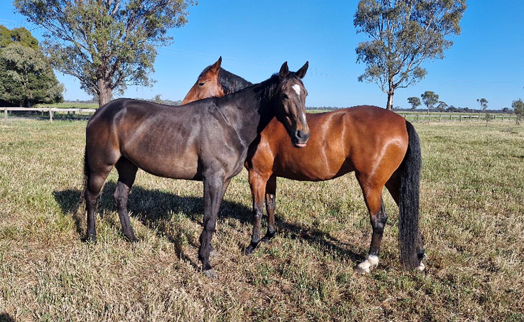Cup winner enjoying life after racing