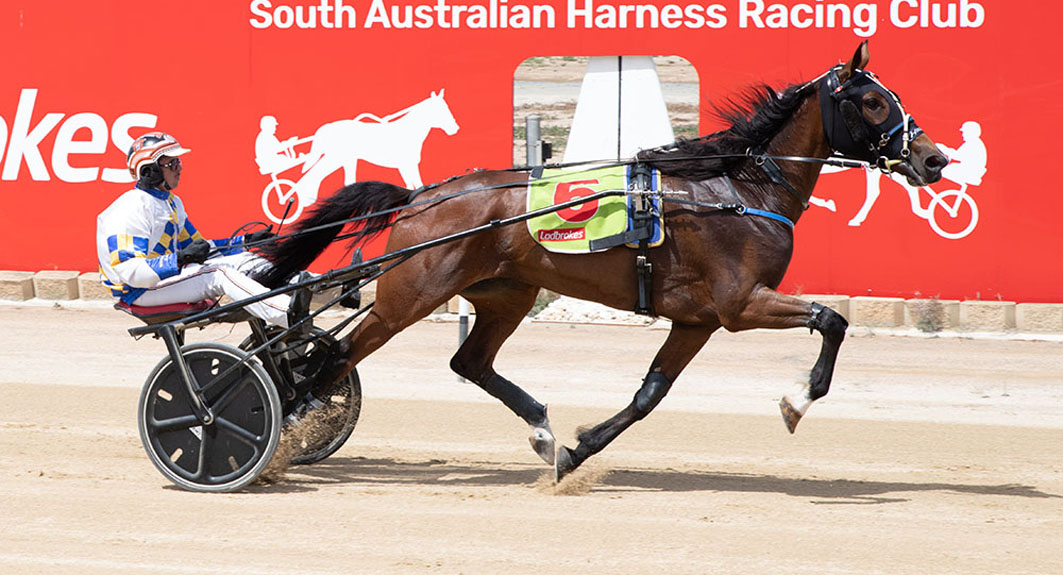 This family's thriving across the border